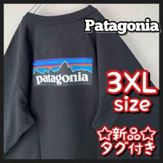 パタゴニア(patagonia)の入手困難 新品 パタゴニア トレーナー スウェット デカロゴ 墨黒 ビックサイズ(Tシャツ/カットソー(半袖/袖なし))