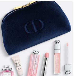 ディオール(Dior)の新品・未使用    Dior  Holiday Offer  限定ポーチ(ポーチ)