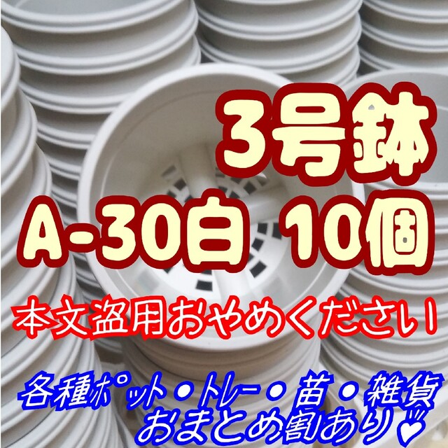 プラ鉢3号鉢【A-30】10個 スリット鉢 丸 プレステラ 多肉植物 ハンドメイドのフラワー/ガーデン(プランター)の商品写真