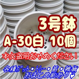 プラ鉢3号鉢【A-30】10個 スリット鉢 丸 プレステラ 多肉植物(プランター)