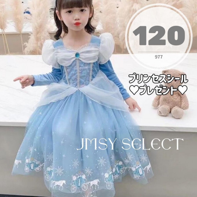 120＊デズニーストア＊プリンセス＊ドレス＊シンデレラ＊ハロウィン