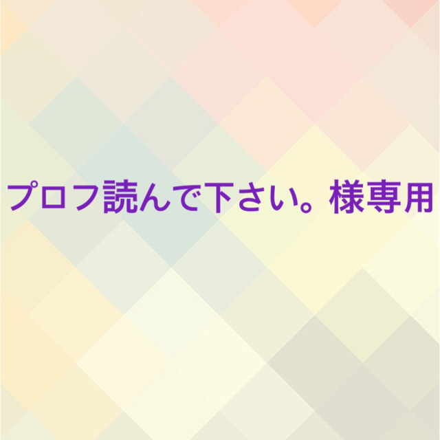 プロフ読んで下さい様専用ページ - アクセサリー