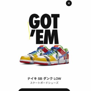 ナイキ(NIKE)のNIKE SB dunk 25.5(スニーカー)