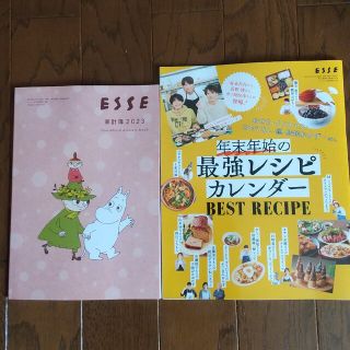 ムーミン(MOOMIN)のESSE エッセ 付録 MOOMIN 家計簿2023 最強レシピカレンダー(住まい/暮らし/子育て)