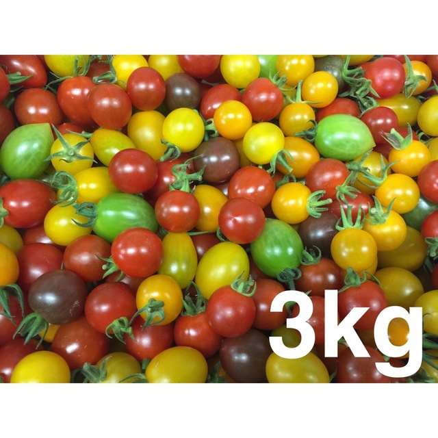 ミニトマトミックス3kg 食品/飲料/酒の食品(野菜)の商品写真