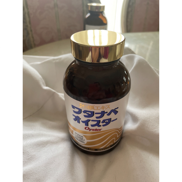ワタナベオイスター⭐️600粒⭐️箱無し - その他