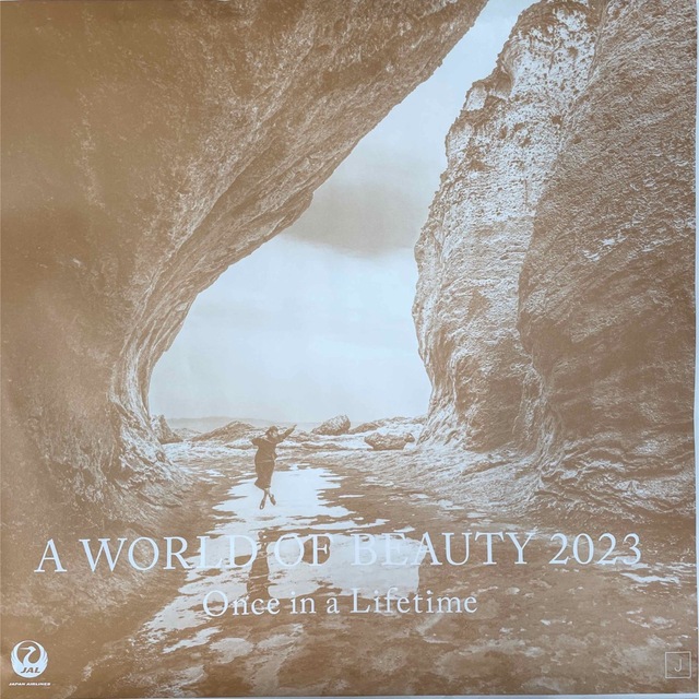 JAL 2023年　壁掛けカレンダー A WORLD OF BEAUTY インテリア/住まい/日用品の文房具(カレンダー/スケジュール)の商品写真