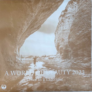 JAL 2023年　壁掛けカレンダー A WORLD OF BEAUTY(カレンダー/スケジュール)
