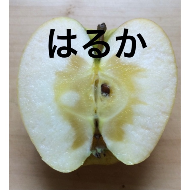 山形県朝日町産 希少種 りんご 「プレミアムはるか」3キロ箱 食品/飲料/酒の食品(フルーツ)の商品写真