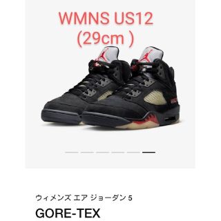 ナイキ(NIKE)のNike WMNS Air Jordan 5 Retro GORE-TEX 29(スニーカー)