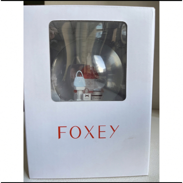 FOXEY(フォクシー)のfoxey フォクシー  スノードーム　フィレンツェ インテリア/住まい/日用品のインテリア/住まい/日用品 その他(その他)の商品写真