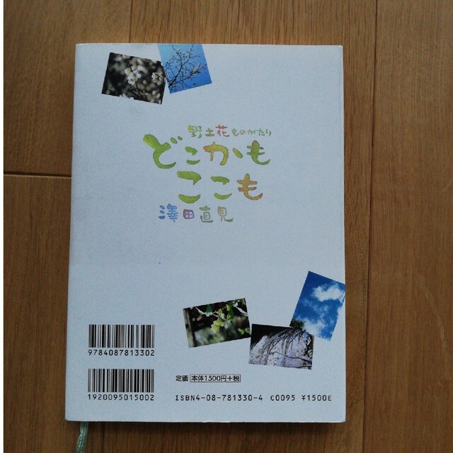 【mei様】野土花ものがたり うさぎとかめのふたりごと／どこかもここも エンタメ/ホビーの本(文学/小説)の商品写真