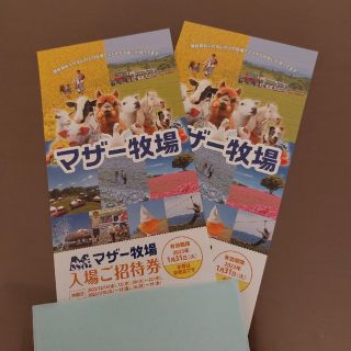 マザー牧場 入場券2枚 有効期限今月1月末まで(遊園地/テーマパーク)