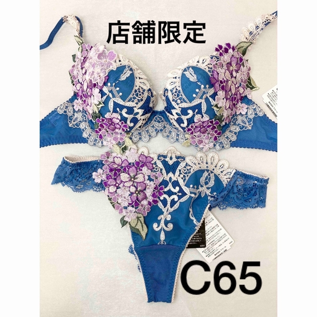 特上美品 新品 ワコール サルート 店舗限定 49G E70 ソングM BU