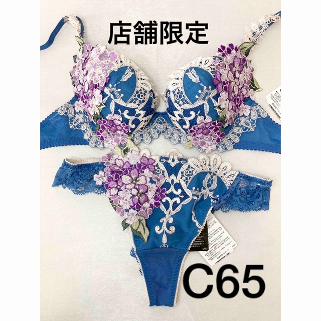 新品　ワコール　サルート　店舗限定　49G  C65   ソングM  BU