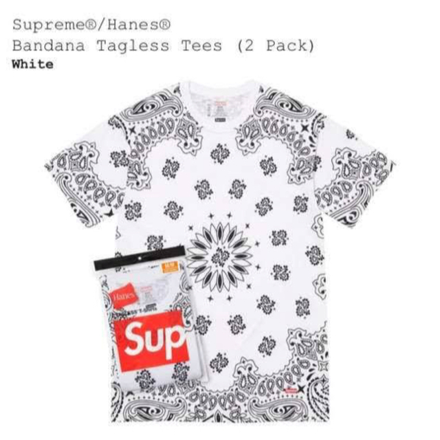 Supreme hanes Bandana Tagless Tee 2pac L