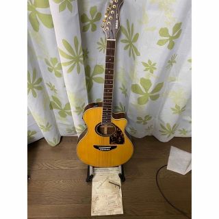 ヤマハ - YAMAHA APX 8CTSの通販 by ねこかん|ヤマハならラクマ