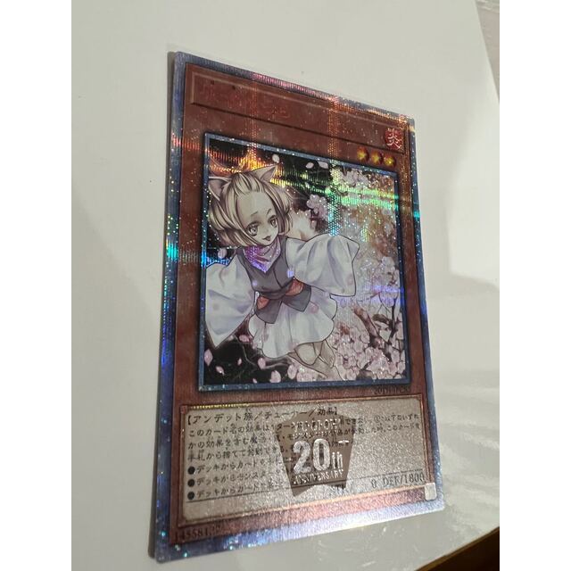 遊戯王 - NM 極美品　灰流うらら