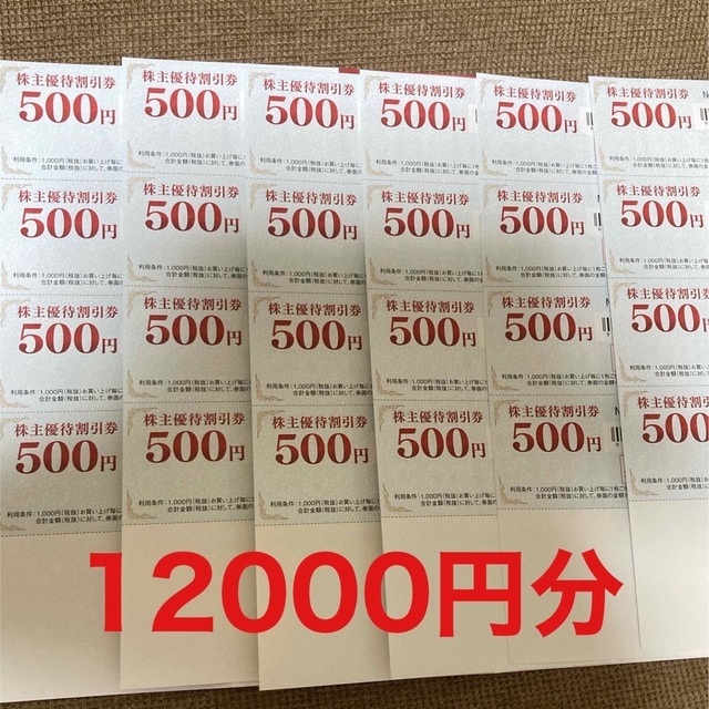 ゲオホールディングス株主優待割引券500円×24枚