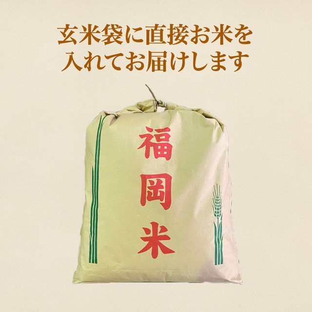 人気商品ランキング 福岡県産 ひのひかり 10kg 米 白米 最安値 お米 厳選米