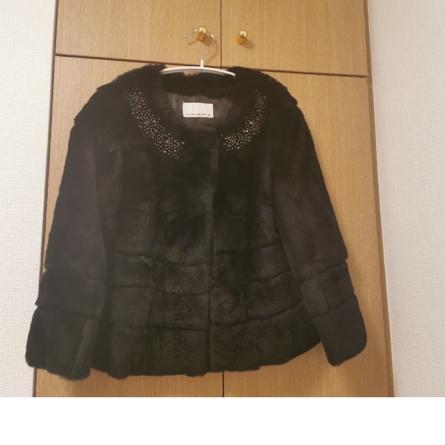エムプルミエブラック　毛皮　レッキス レディースのジャケット/アウター(毛皮/ファーコート)の商品写真