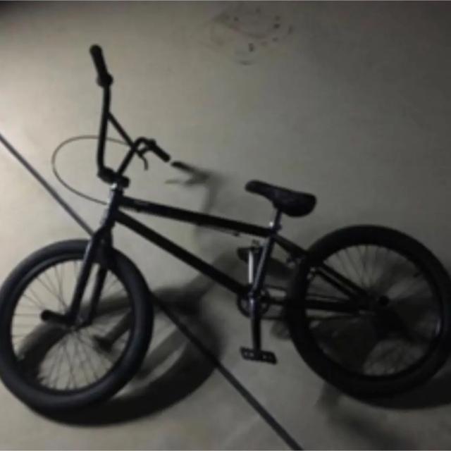 WE THE PEOPLE BMX 20インチ - www.glycoala.com