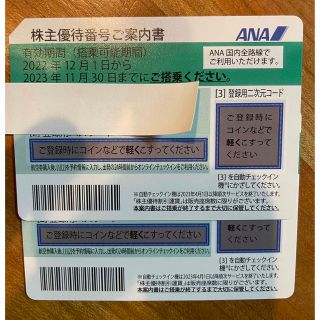 エーエヌエー(ゼンニッポンクウユ)(ANA(全日本空輸))のANA株主優待券(その他)