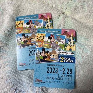 ディズニー(Disney)のディズニーリゾートライン 2day pass(遊園地/テーマパーク)
