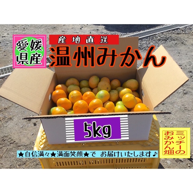 おトク】 愛媛県産ミカン 甘平 コンパクトBOX発送 柑橘 みかん 果物