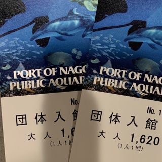 名古屋港水族館　大人　2枚(水族館)