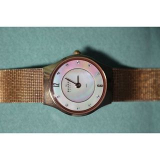 スカーゲン(SKAGEN)の☆SKAGEN DENMARK 233XSRR USED美品(腕時計)