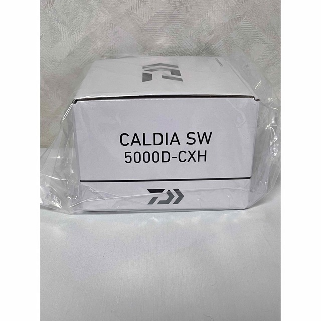 くすみ水色 DAIWA 22 CALDIA SW 5000D-CXH - crumiller.com