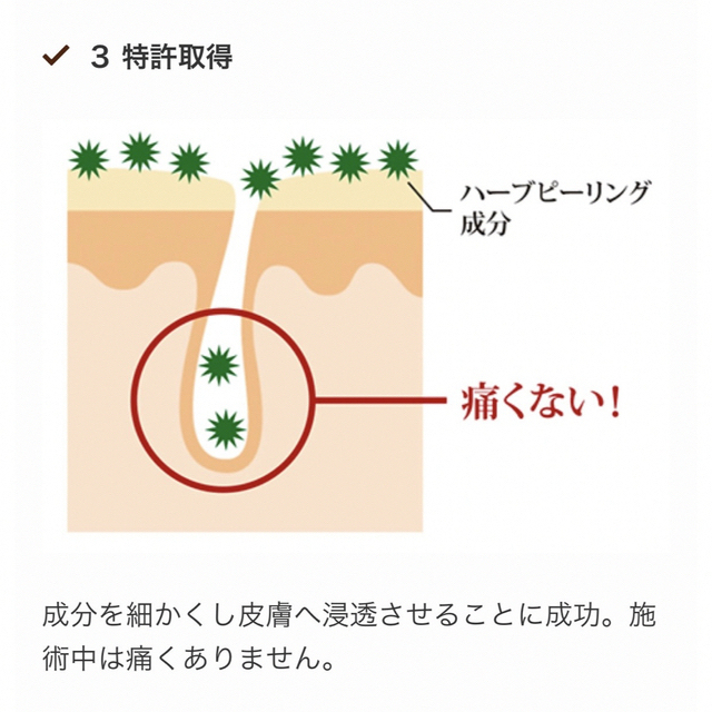 ETVOS(エトヴォス)のアマロスOHLハーブピーリング　セルフエステ5回分　★説明書付き コスメ/美容のスキンケア/基礎化粧品(ゴマージュ/ピーリング)の商品写真