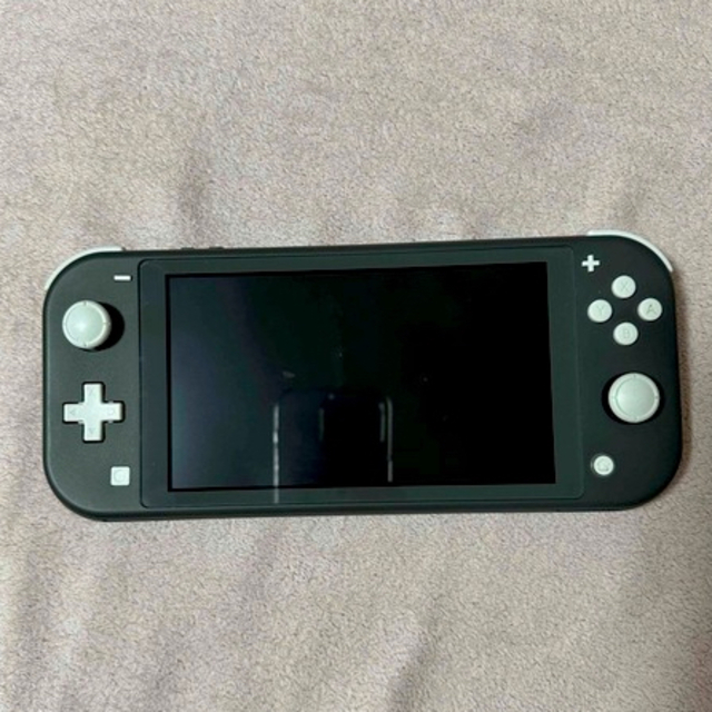 Switch lite 美品　ケース付き