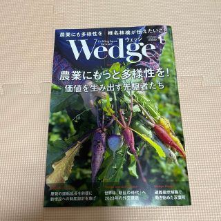 ジェイアール(JR)のWedge(ウェッジ) 2023年 01月号(ビジネス/経済/投資)