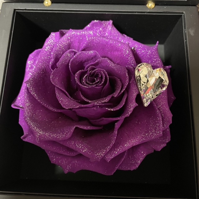 ローズギャラリー ダイヤモンドパウダーローズ紫色 - プリザーブドフラワー