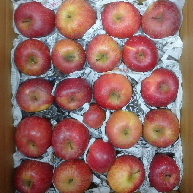 訳⑤ サンふじ訳あり10kg 長野県産りんご 食品/飲料/酒の食品(フルーツ)の商品写真
