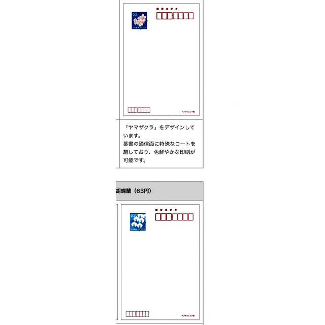 2023年　令和5年　寒中見舞いの印刷　10枚　卯年　寒中見舞い作成　Rh08 その他のその他(オーダーメイド)の商品写真