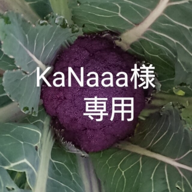 KaNaaa様専用 食品/飲料/酒の食品(野菜)の商品写真