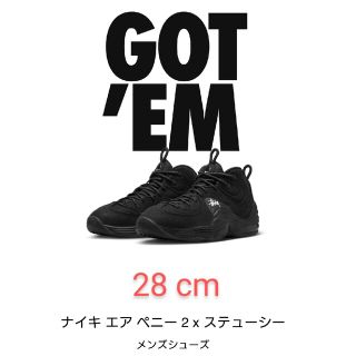 ステューシー(STUSSY)のNIKE AIR PENNY Ⅱ ペニー2 STUSSY 28cm(スニーカー)