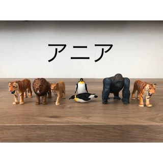 アニア(Ania（TAKARA Tomy）)のアニア　7体(その他)