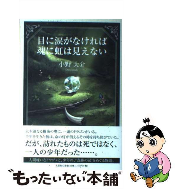 クリーニング済み目に涙がなければ魂に虹は見えない/文芸社/小野大介