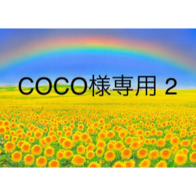 COCO様専用 2 【☆安心の定価販売☆】 stockshoes.co