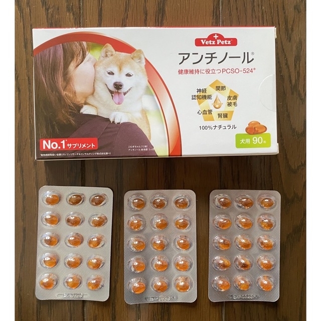 アンチノール＋  犬用サプリ 45粒