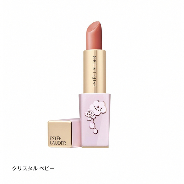 Estee Lauder(エスティローダー)のエスティローダー　口紅リップ　 コスメ/美容のベースメイク/化粧品(口紅)の商品写真