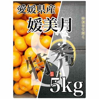 最高級みかん！！愛媛県産【媛美月】特秀 南柑  5kg(フルーツ)