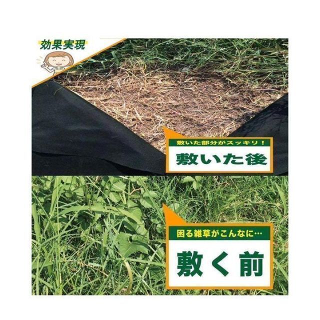 防草シート 雑草防止シート 1m×100m 固定ピン200本 園芸用 工事用