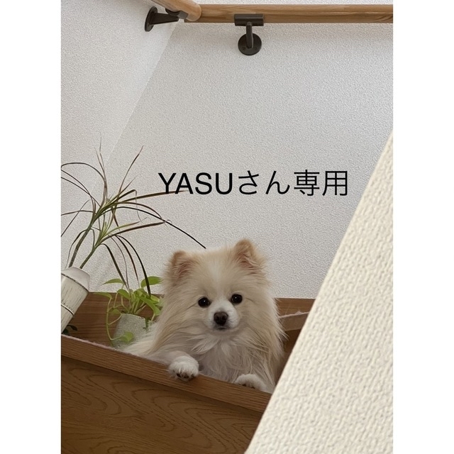 YASUさん専用 コスメ/美容のヘアケア/スタイリング(シャンプー)の商品写真