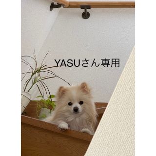 YASUさん専用(シャンプー)