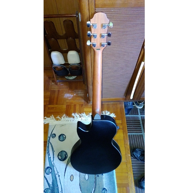Aria エレアコ 楽器のギター(アコースティックギター)の商品写真